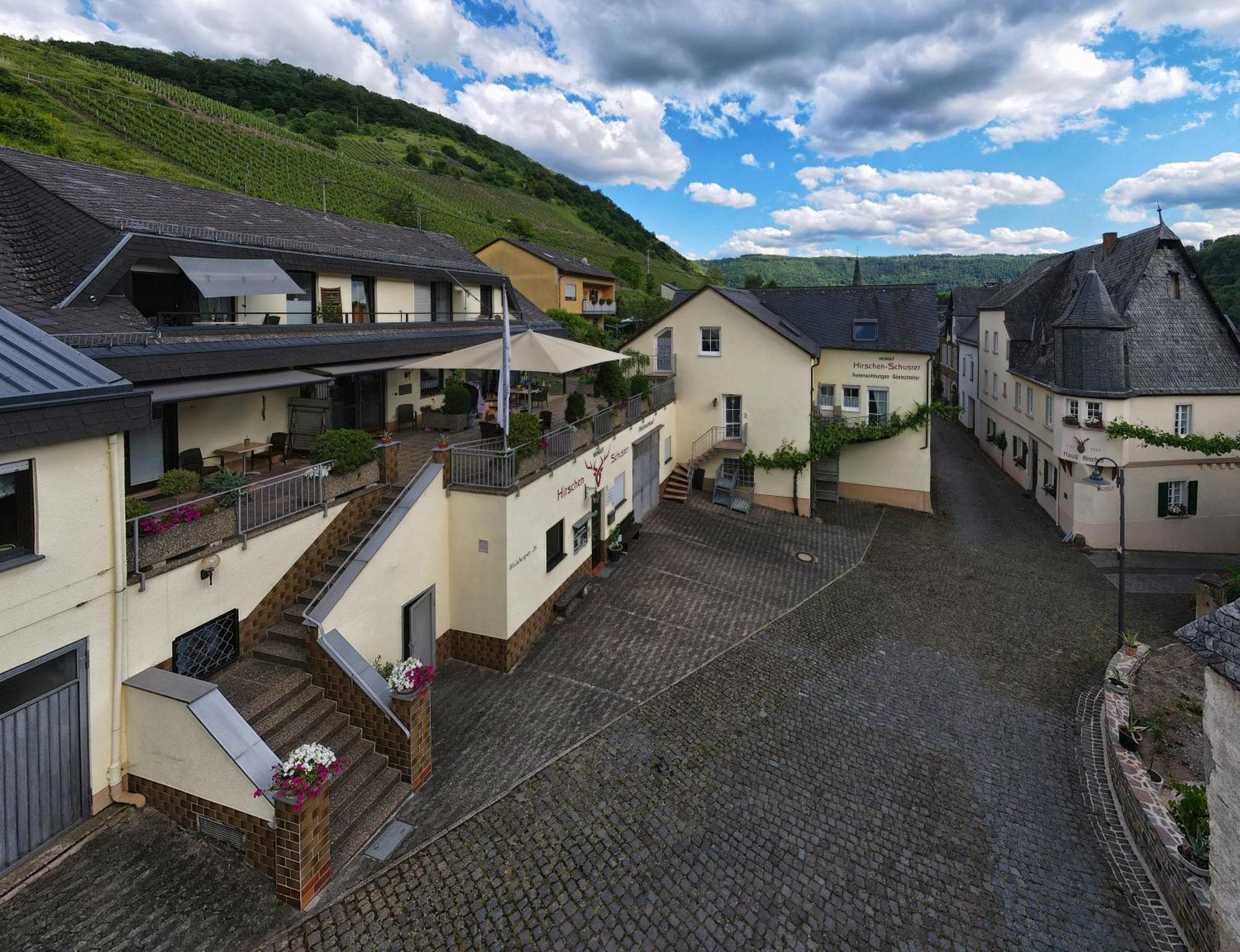 Hirschen-Schuster Apartment Mesenich Exterior photo